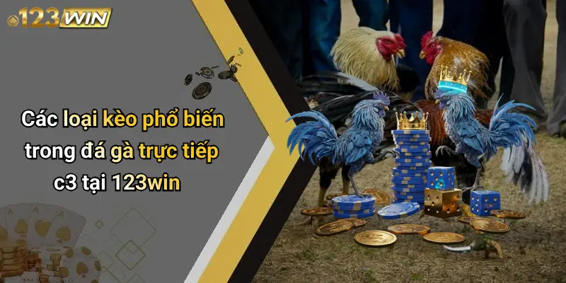 Các loại kèo phổ biến trong đá gà trực tiếp c3 tại 123win