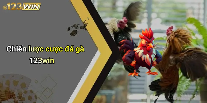 Chiến lược cược đá gà 123win