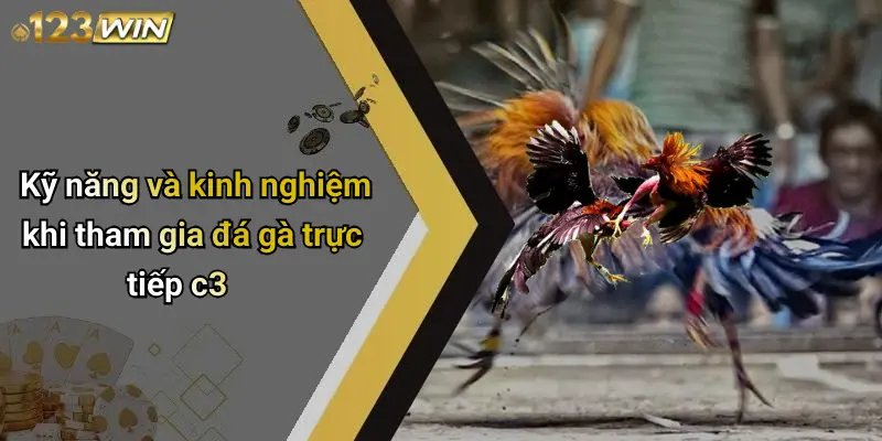 Kỹ năng và kinh nghiệm khi tham gia đá gà trực tiếp c3