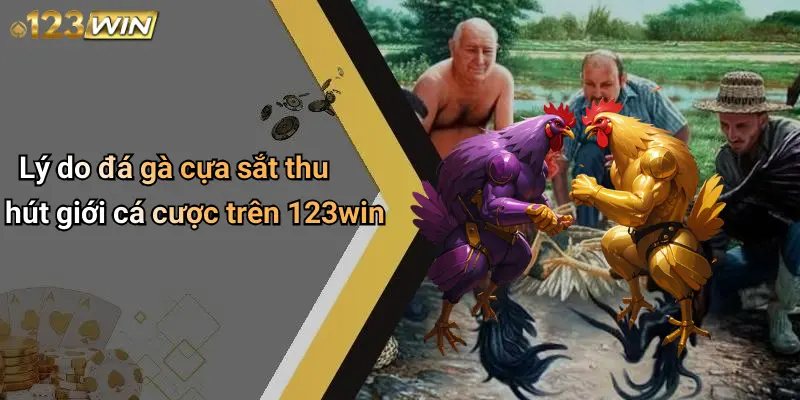 Lý do đá gà cựa sắt thu hút giới cá cược trên 123win
