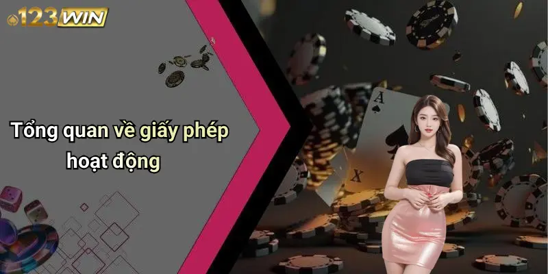 Tổng quan về giấy phép hoạt động