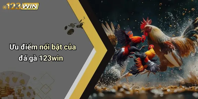Ưu điểm nổi bật của đá gà 123win