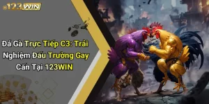 Đá Gà Trực Tiếp C3: Trải Nghiệm Đấu Trường Gay Cấn Tại 123WIN