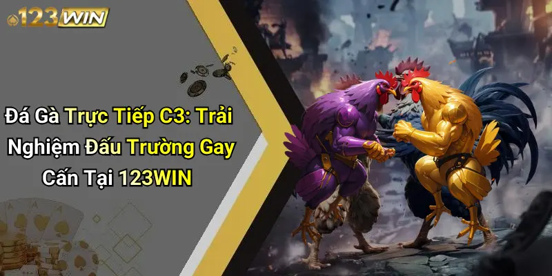 Đá Gà Trực Tiếp C3: Trải Nghiệm Đấu Trường Gay Cấn Tại 123WIN